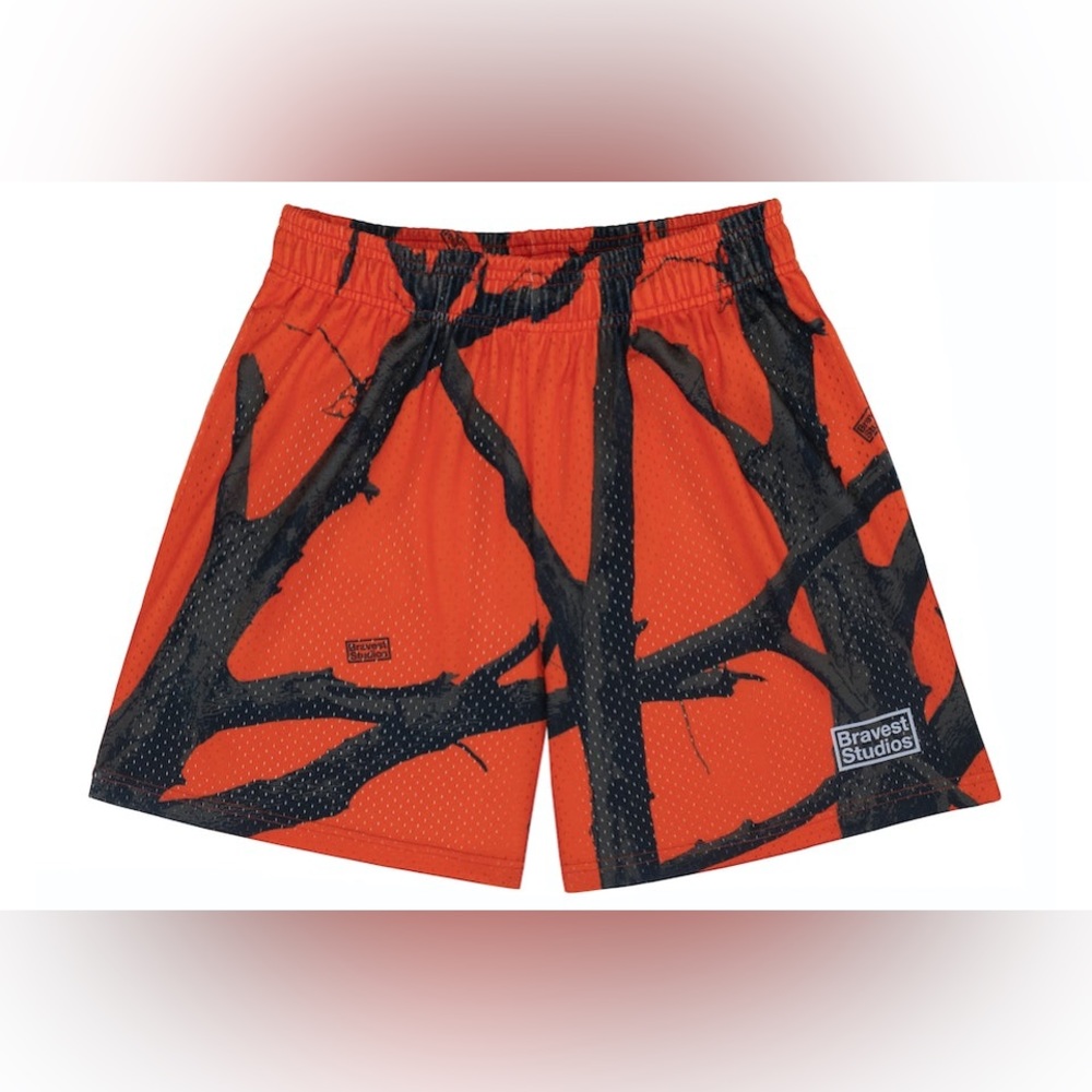Bravest studios shorts